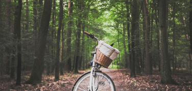 Bonus bici, dal 3 novembre la procedura on line: come arrivare preparati al click day