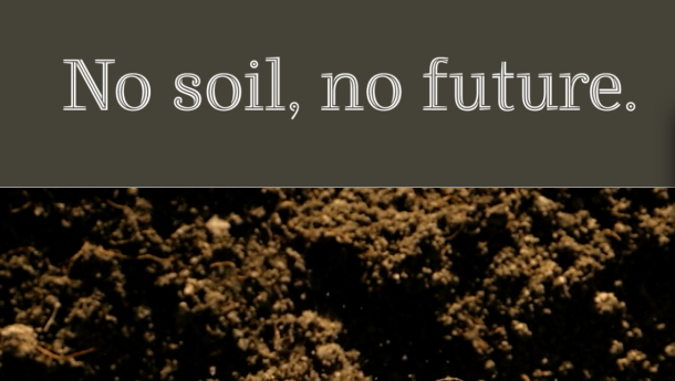 Immagine: Double Digital Week di Ecomondo: la Fondazione Re Soil e il Cluster SPRING per 'Un suolo produttivo ed in salute'