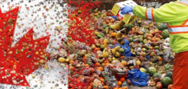Food Waste Reduction Challenge, l’approccio canadese allo spreco di cibo per trasformare il rifiuto in impulso per l’economia