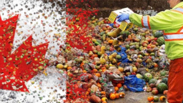 Immagine: Food Waste Reduction Challenge, l’approccio canadese allo spreco di cibo per trasformare il rifiuto in impulso per l’economia