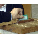 Immagine: Elezioni Roma: quali proposte ambientali nei programmi dei candidati sindaco?