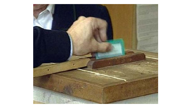 Immagine: Elezioni Roma: quali proposte ambientali nei programmi dei candidati sindaco?