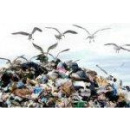 Immagine: Rifiuti, anche il Lazio nel mirino dell’Ue