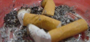 Amsa, Comieco e Cial contro le cicche