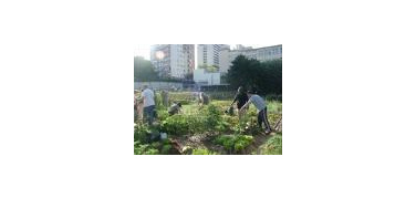 Il Comune di Chivasso (Torino) alla ricerca di cittadini-coltivatori