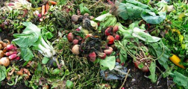 La Cgil accusa: «I rifiuti organici finiscono in discarica». Secca smentita dell'Ama