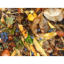 Immagine: Nuovo decreto sui rifiuti: solo sacchetti bio per la raccolta dell'organico