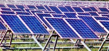 Fotovoltaico nei campi: la presidente della provincia di Cuneo chiede l'intervento del Governo