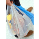 Immagine: Torino: addio ai sacchetti di plastica