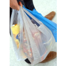 Immagine: Shopper in plastica, ok Ue all'Italia