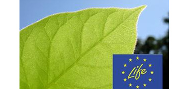 Commissione Europea,  244 milioni di euro per 183 nuovi progetti ambientali