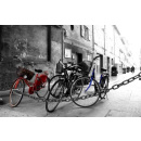 Immagine: Parcheggiare la bicicletta in cortile secondo la legge: affitto solo dopo aver sperimentato altre soluzioni