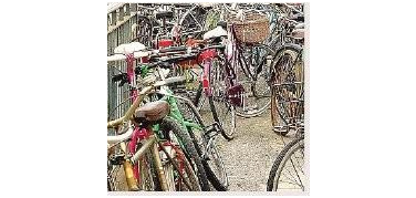 Ladro di biciclette fermato dal cittadino-detective