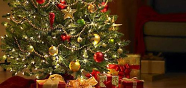 Ama: al via domani la raccolta straordinaria degli alberi di Natale