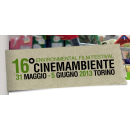 Immagine: Torino. Dal 31 maggio al 5 giugno 2013 16° Cinemambiente