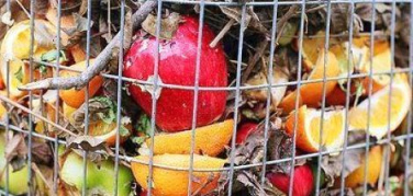 Piemonte, un ordine del giorno impegna la Regione contro gli sprechi alimentari
