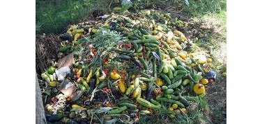 Contro lo spreco alimentare, le ricette della tradizione contadina