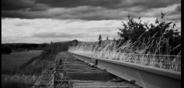 Ferrovie dimenticate, le associazioni ambientaliste rilanciano la petizione