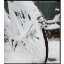 Immagine: Sulla neve in bicicletta? Gomme gratis | Intervista in Norvegia