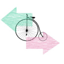 Immagine: Biciclette “in contromano”: la proposta, il dibattito e mille polemiche