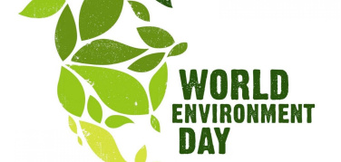 Giornata Mondiale dell'Ambiente: consigli per la spesa