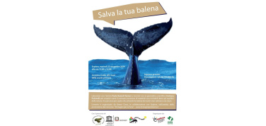 Roma, per la SERR al museo Explora sculture d’artista per salvare le balene