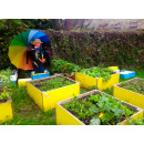 Immagine: Per fare un orto ci vogliono dei bambini...dei genitori e delle maestre! #FormichineSalvaCibo| Immagini