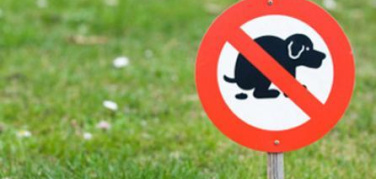 Bari, aumenta a 300 euro la multa per la mancata raccolta delle deiezioni canine