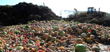 Regione Lombardia: approvato protocollo d'intesa contro lo spreco alimentare