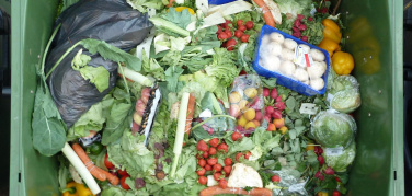 Spreco di cibo in Europa: il 16% di quello venduto diventa spazzatura