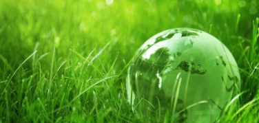 “Green economy: fuori dalla nicchia!”, il progetto per l’educazione ambientale della Regione Piemonte