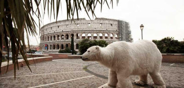 Un orso polare a Roma: la campagna di Greenpeace contro i cambiamenti climatici