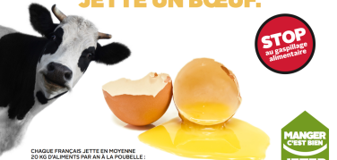 Sprecare cibo è reato: il Senato francese approva la legge contro il gaspillage alimentare