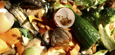 Più futta e verdura da orti e mercati, le abitudini alimentari tra i fattori che influenzano l'ascesa dell'organico nel 2015