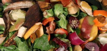 Lo studio di Utilitalia conferma: raccogliere l'organico con il porta a porta migliora la raccolta