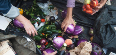 Cittadinanza attiva contro gli sprechi a Milano: così si recuperano frutta e verdura, al mercato Marco Aurelio
