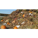 Immagine: Raccolta rifiuti organici 2016, la tendenza è positiva