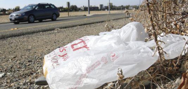 Michigan, il senato vuole annullare qualsiasi divieto di commercializzare sacchetti di plastica usa e getta