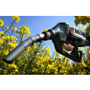 Immagine: Biodiesel: “Peggio dei combustibili fossili”