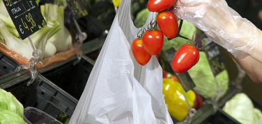 La Francia chiede sacchi 'home-compostable'. Gruppo Novamont: pronti per il mercato nuovi prodotti in Mater-Bi