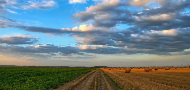 Collegato agricolo: rischio inquinamento dei campi con modifica a sfalci e potature