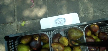 Quartieri Ricicloni e Recup, ecco quanto cibo si può salvare dallo spreco nei mercati / VIDEO