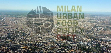 Milano Food policy, un concorso per premiare buone pratiche sul cibo sostenibile