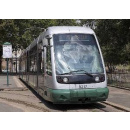 Immagine: Torna il tram 3 da capolinea a capolinea: niente più cambi a Ostiense