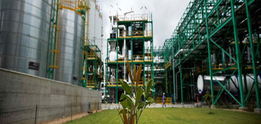 Novamont leader mondiale con il primo impianto di produzione industriale di biobutandiolo