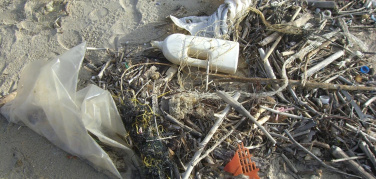 Dalla COP22 un appello internazionale per lo stop alle buste di plastica nel bacino del Mediterraneo