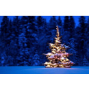 Immagine: Il 'dec-albero' di Wwf : dagli addobbi al cenone per un Natale sostenibile