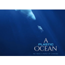 Immagine: Arriva in Italia il documentario 'A Plastic Ocean', in anteprima il 13 marzo presso l’ambasciata americana a Roma