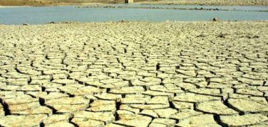 Siccità, Coldiretti: al nord la peggiore crisi idrica da decenni