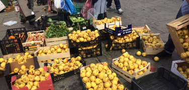 Coldiretti: 'lo spreco di cibo in Puglia è pari a 310mila tonnellate l'anno'. Ecco la top ten dei prodotti più sprecati
